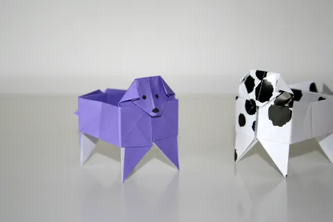 Dog box