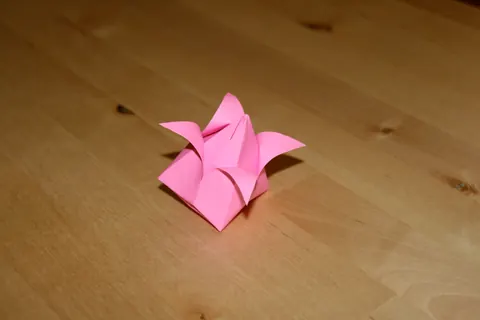 Lotus bud