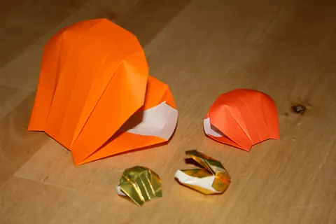 Scallop shell