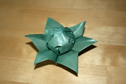 Six-petal flower