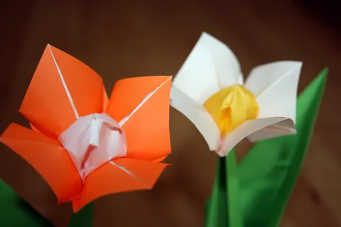 Two-colour flower