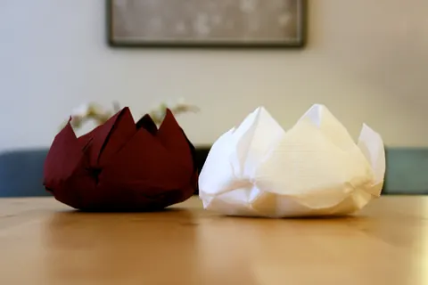 Lotus flower