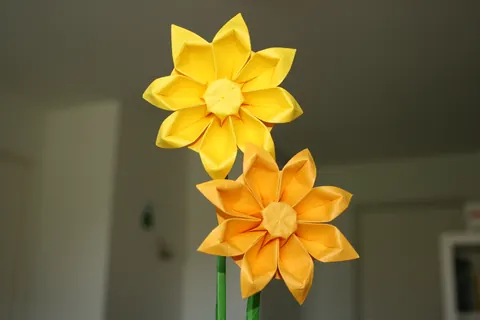 Gerbera