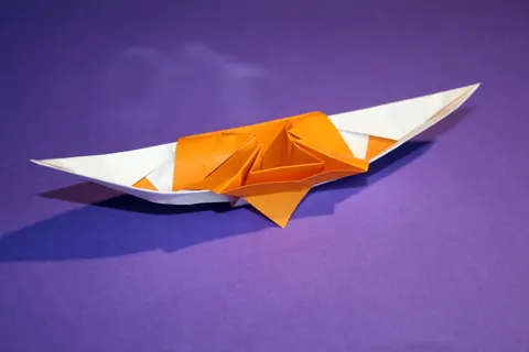 Traditional junk