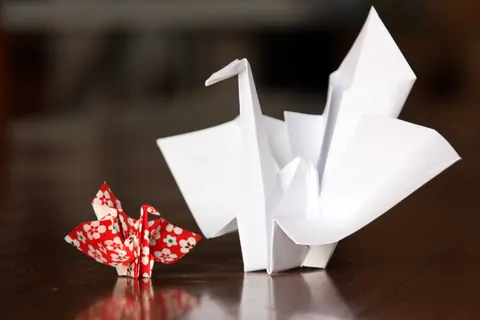 Kotobukizuru, ceremonial crane