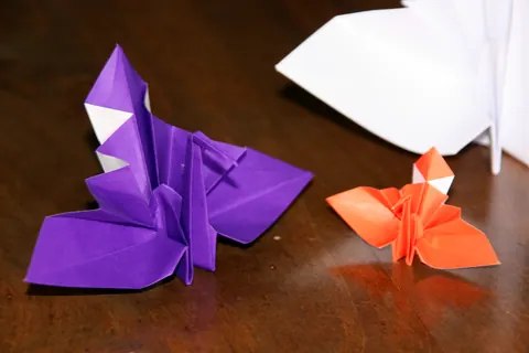 Kotobukizuru, ceremonial crane