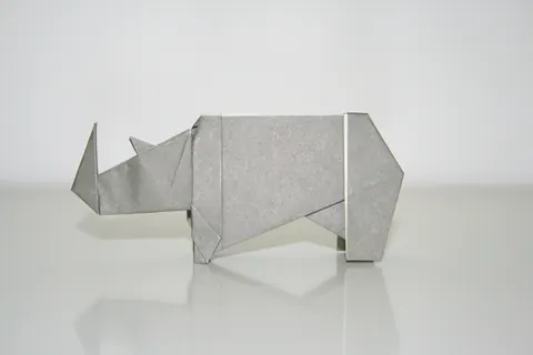 Rhinoceros