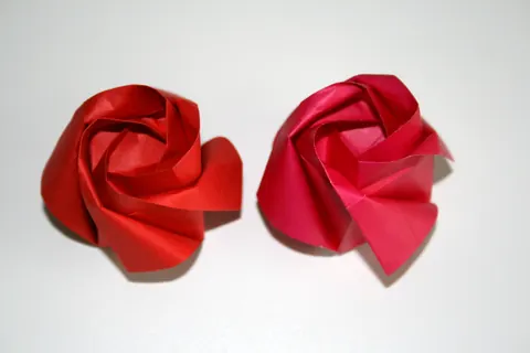 Kawasaki rose