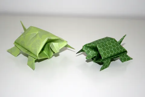 Traditional Chinese turtle