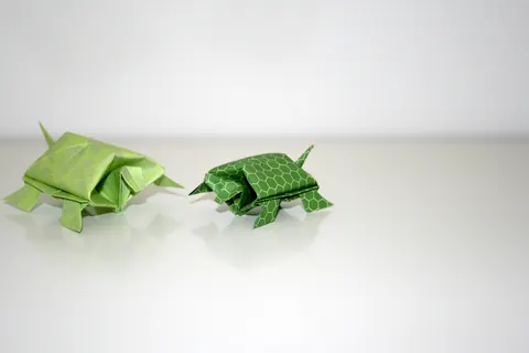 Traditional Chinese turtle